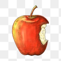 Red apple png illustration, transparent background