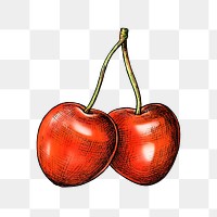 Cherry png illustration, transparent background