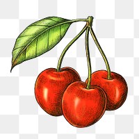 Cherry png illustration, transparent background