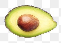 Avocado fruit png, transparent background