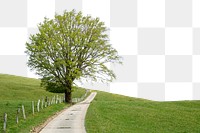 Countryside rural road png, transparent background