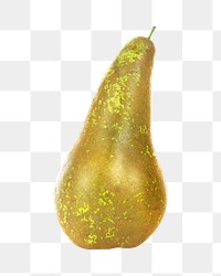 Png pear, transparent background