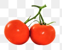 Tomato vegetable png, transparent background