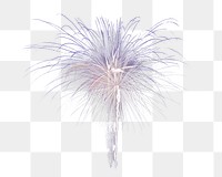 Fireworks png, isolated object, transparent background