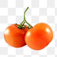 Tomato png collage element on transparent background