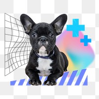 Sitting puppy png, pet insurance remix, transparent background