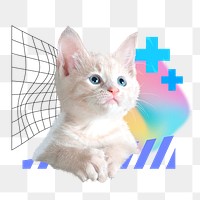 Cute kitten png, pet insurance remix, transparent background