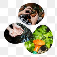 Gardening png badge elements, transparent background