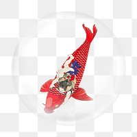 Japanese koi fish png sticker, bubble design transparent background. Remixed by rawpixel.