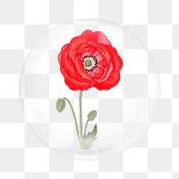 Poppy flower png sticker, Japanese ukiyo e art in bubble transparent background. Remixed by rawpixel.