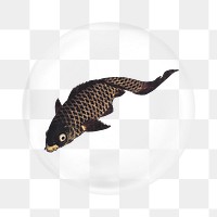 Japanese koi fish png sticker, bubble design transparent background. Remixed by rawpixel.