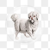 White Carnivora dog png sticker,  bubble design transparent background. Remixed by rawpixel.