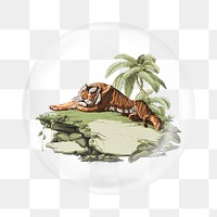 Vintage tiger png sticker, bubble design transparent background. Remixed by rawpixel.