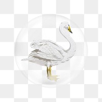 Vintage swan png sticker, bubble design transparent background. Remixed by rawpixel.