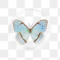 Blue butterfly png sticker, bubble design transparent background. Remixed by rawpixel.