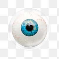 Human eyeball png sticker, bubble design transparent background. Remixed by rawpixel.