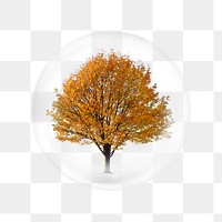 Autumn tree png sticker, bubble design transparent background. Remixed by rawpixel.