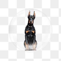 Doberman dog png sitting sticker, bubble design transparent background. Remixed by rawpixel.