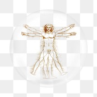 Vitruvian man png sticker, Leonardo da Vinci's artwork in bubble transparent background. Remixed by rawpixel.