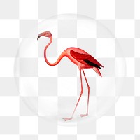 Pink flamingo png   sticker, bubble design transparent background