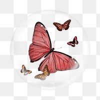 Aesthetic butterfly png flying sticker, watercolor illustration in bubble transparent background. Remixed by rawpixel.