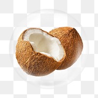 Coconut png element, fruit in bubble