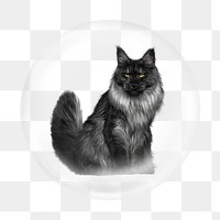 Black cat png element, animal in bubble