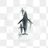 Watercolour shark png element, fish in bubble