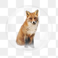 Brown fox png element, animal in bubble