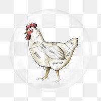 Cut of chicken png element, bird in bubble