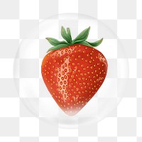 Strawberry png element, fruit in bubble