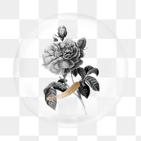 Vintage flower png element, in bubble design