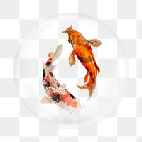 Koi fish png element, fish in bubble