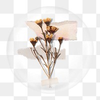 Dried flowers png element, in bubble design