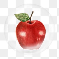 Apple illustration png element, fruit in bubble