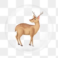 Cute deer illustration png bubble element, transparent background 