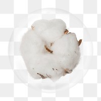 Fluffy cotton png bubble element, transparent background 