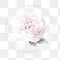 Vintage flower illustration png bubble element, transparent background 