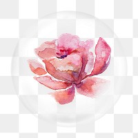 Pink watercolor flower png bubble element, transparent background 