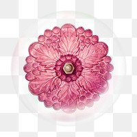 Pink flower png bubble effect, transparent background