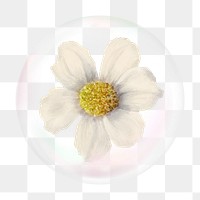 White flower png bubble effect, transparent background