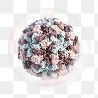 3D virus png bubble effect, transparent background