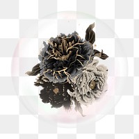 Black flowers png bubble effect, transparent background