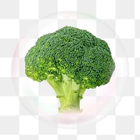 Broccoli png bubble effect, transparent background