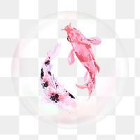 Koi fishes png bubble effect, transparent background