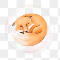 Sleeping fox png bubble effect, transparent background