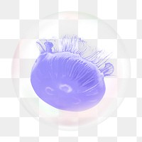 Purple jellyfish png bubble effect, transparent background