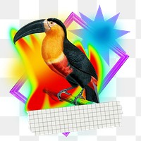 Toucan bird png element, colorful gradient shape tape, transparent background