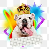 Cute bulldog png element, colorful gradient shape tape, transparent background