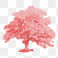 Pink tree png environment, transparent background